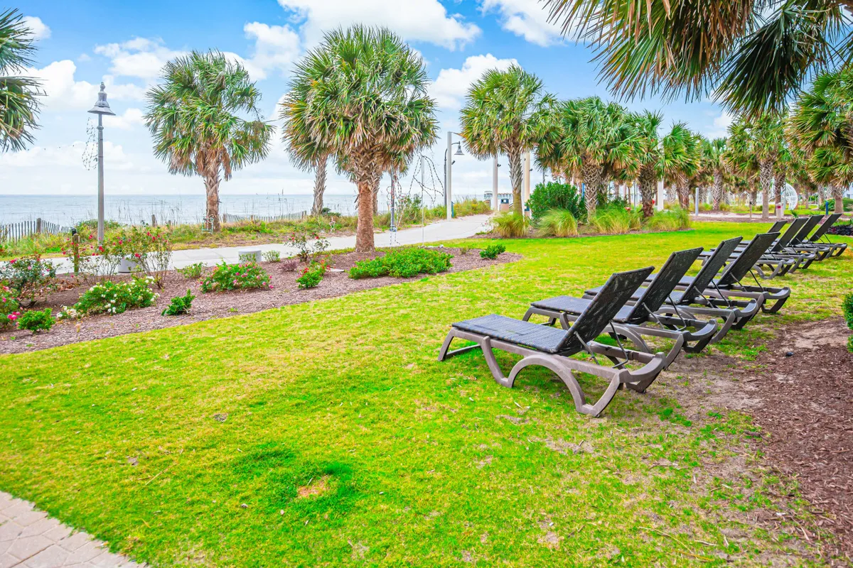 A tranquil exterior scene featuring palm trees, lounge chairs, a winding walking path, and a far-reaching view of the ocean. The setting is inviting for outdoor relaxation, post-activity unwinding, or social gatherings.